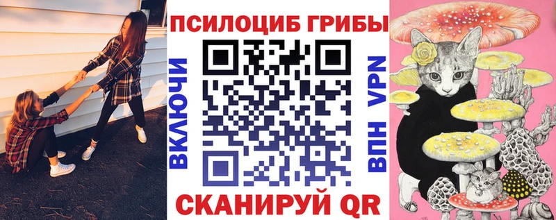 Псилоцибиновые грибы мицелий  Чухлома 